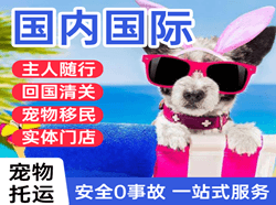 阿勒泰雪都机场快递国际宠物托运 【国